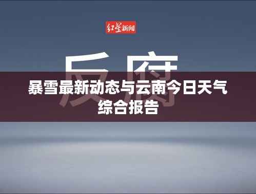 暴雪最新动态与云南今日天气综合报告