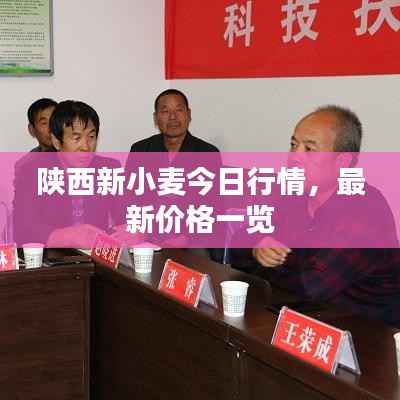陕西新小麦今日行情,最新价格一览
