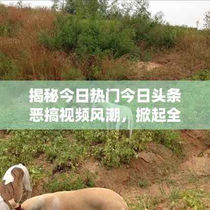 揭秘今日热门今日头条恶搞视频风潮,掀起全网爆笑狂潮!