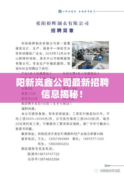 阳新岚鑫公司最新招聘信息揭秘!