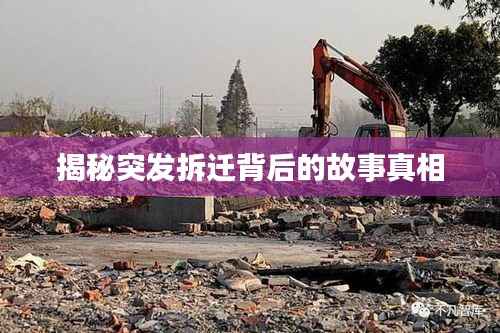 知识产权布局设计中心 第91页