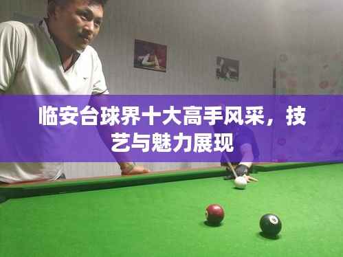 临安台球界十大高手风采,技艺与魅力展现