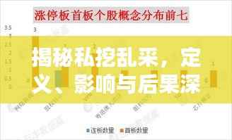 揭秘私挖乱采,定义、影响与后果深度解析!