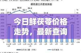 今日鲜茯苓价格走势,最新查询与深度市场分析