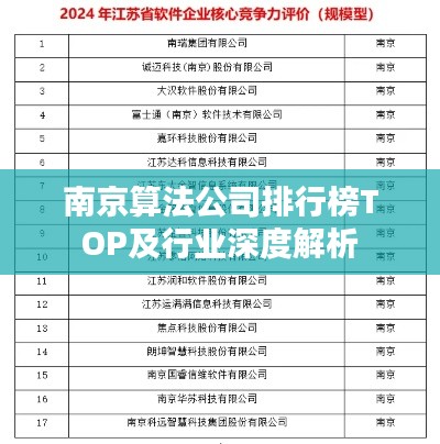 南京算法公司排行榜TOP及行业深度解析