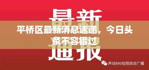 平桥区最新消息速递，今日头条不容错过