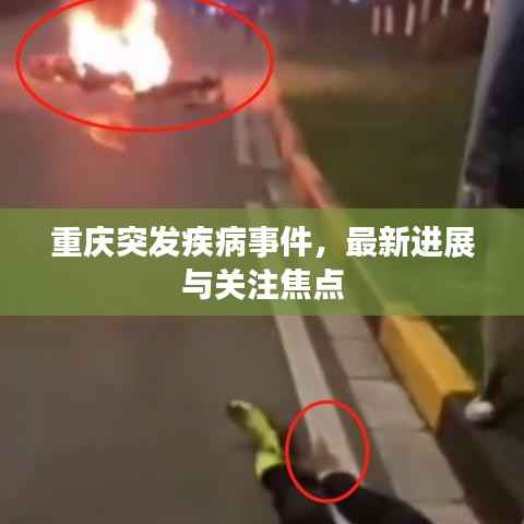 重庆突发疾病事件,最新进展与关注焦点