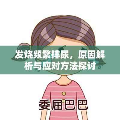 发烧频繁排尿，原因解析与应对方法探讨