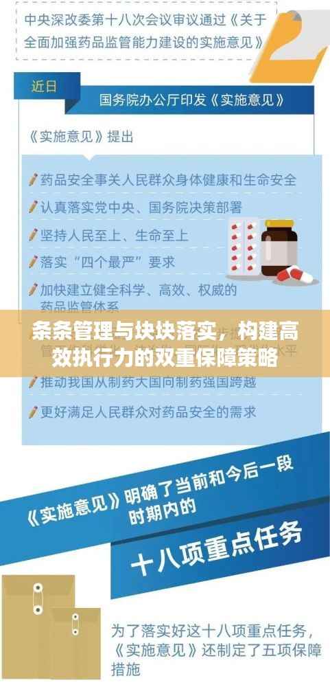 条条管理与块块落实,构建高效执行力的双重保障策略