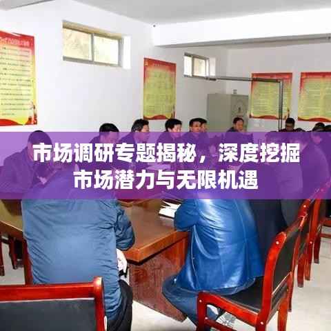 市场调研专题揭秘,深度挖掘市场潜力与无限机遇