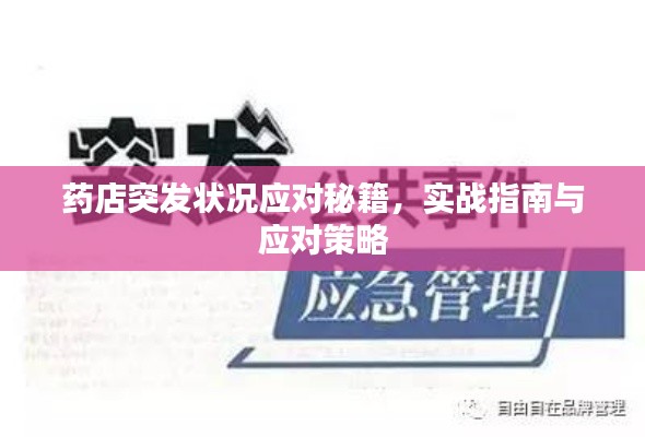 药店突发状况应对秘籍，实战指南与应对策略
