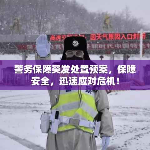 警务保障突发处置预案，保障安全，迅速应对危机！