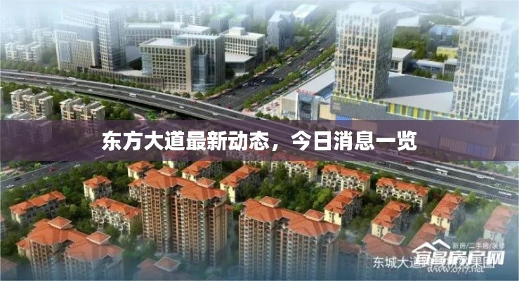 东方大道最新动态,今日消息一览