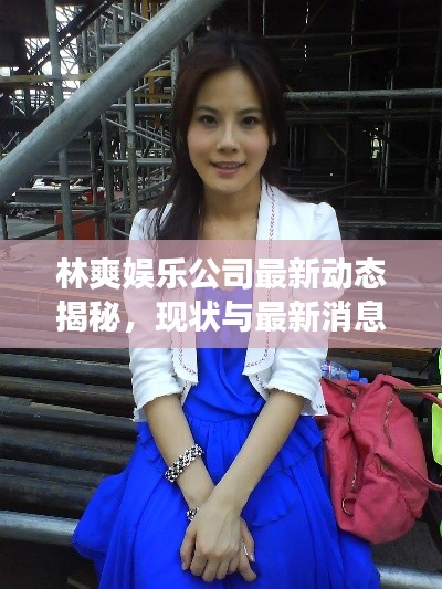 林爽娱乐公司最新动态揭秘,现状与最新消息全面解读