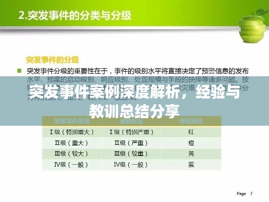 突发事件案例深度解析,经验与教训总结分享