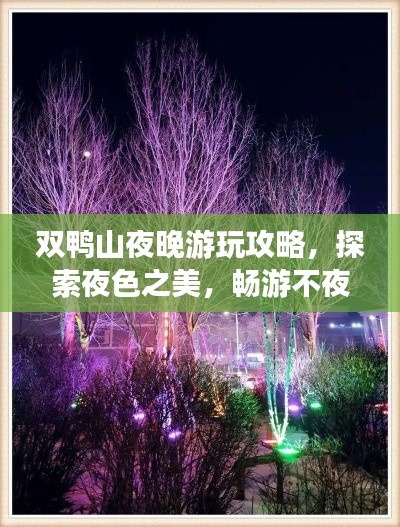 双鸭山夜晚游玩攻略,探索夜色之美,畅游不夜城!