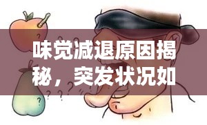 味觉减退原因揭秘,突发状况如何应对?