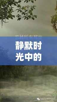 静默时光中的励志短句,激发无限潜能!