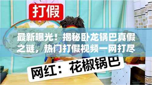 最新曝光！揭秘卧龙锅巴真假之谜，热门打假视频一网打尽！