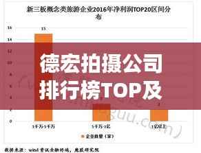 德宏拍摄公司排行榜TOP及行业深度分析