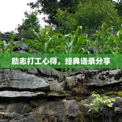 励志打工心得,经典语录分享