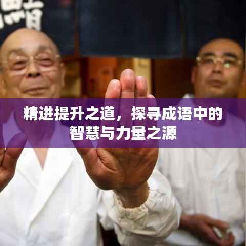精进提升之道,探寻成语中的智慧与力量之源