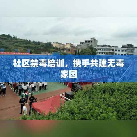 社区禁毒培训,携手共建无毒家园
