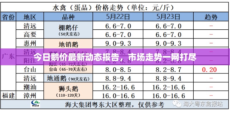 今日鹅价最新动态报告,市场走势一网打尽