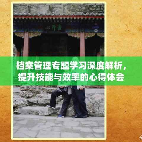 档案管理专题学习深度解析,提升技能与效率的心得体会
