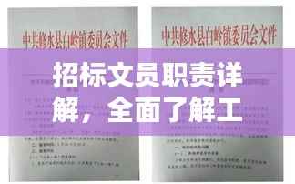 招标文员职责详解,全面了解工作内容与要求