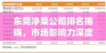东莞净菜公司排名揭晓,市场影响力深度解析