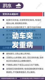 动车突发重病紧急应对与救援措施全解析