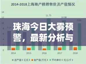 珠海今日大雾预警,最新分析与预报报告