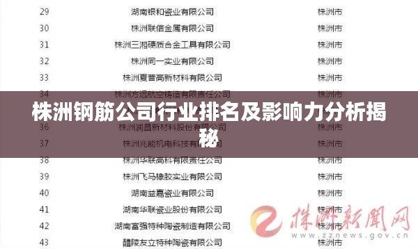 株洲钢筋公司行业排名及影响力分析揭秘