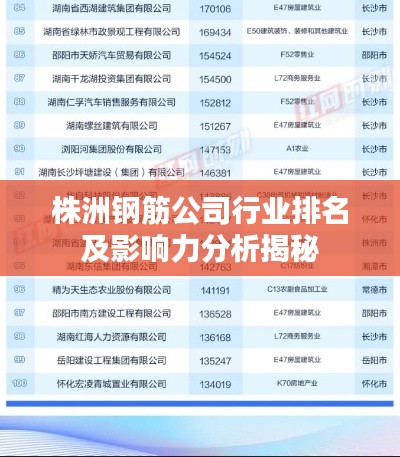 株洲钢筋公司行业排名及影响力分析揭秘