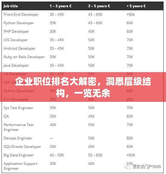 企业职位排名大解密,洞悉层级结构,一览无余
