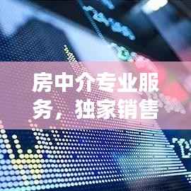 房中介专业服务,独家销售的优势与力量