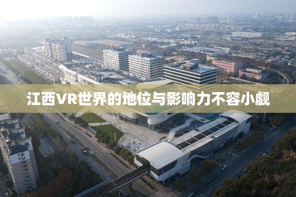 江西VR世界的地位与影响力不容小觑