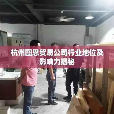 杭州图恩贸易公司行业地位及影响力揭秘