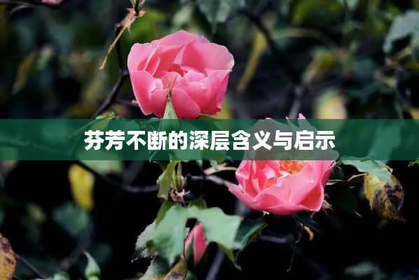 芬芳不断的深层含义与启示