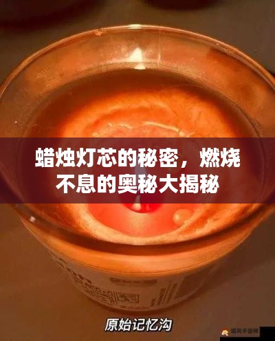 蜡烛灯芯的秘密，燃烧不息的奥秘大揭秘