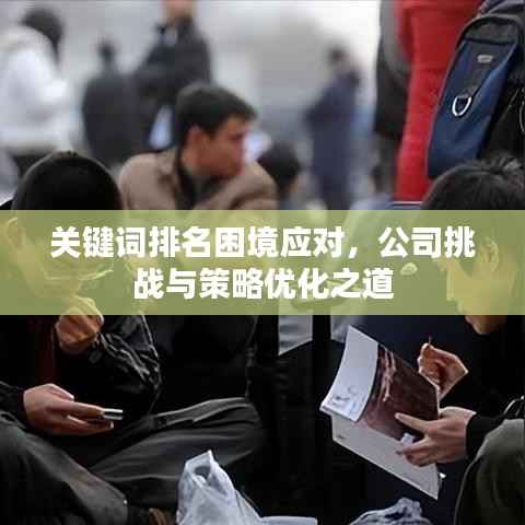关键词排名困境应对，公司挑战与策略优化之道