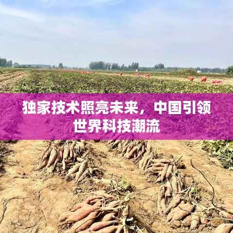 独家技术照亮未来,中国引领世界科技潮流
