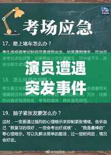 演员遭遇突发事件,应对策略与深刻反思