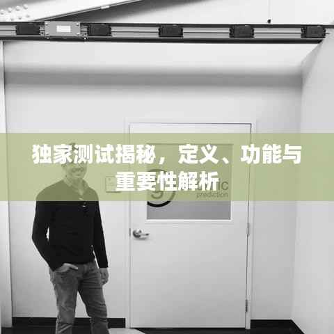独家测试揭秘,定义、功能与重要性解析