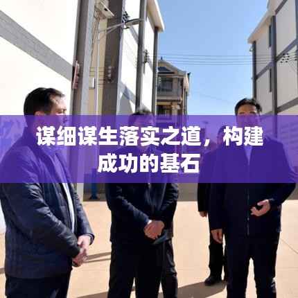 谋细谋生落实之道,构建成功的基石