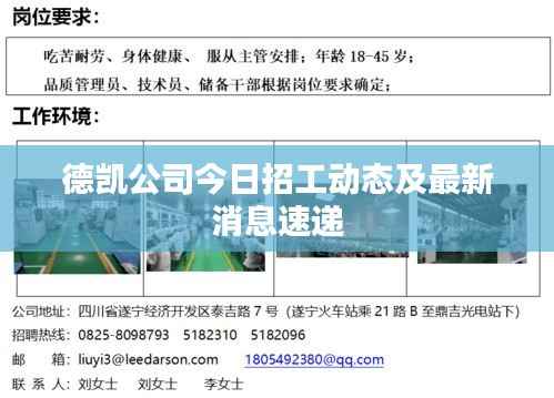 德凯公司今日招工动态及最新消息速递