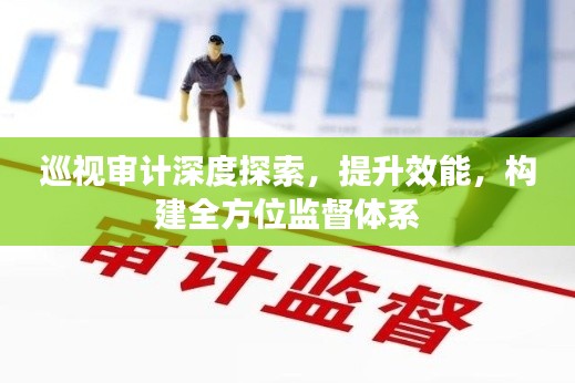 巡视审计深度探索,提升效能,构建全方位监督体系