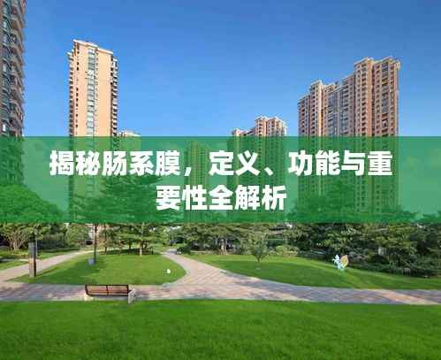 揭秘肠系膜,定义、功能与重要性全解析