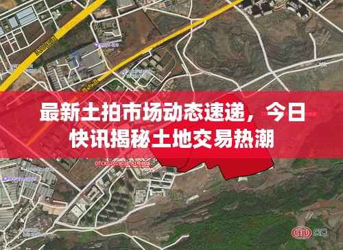 最新土拍市场动态速递,今日快讯揭秘土地交易热潮